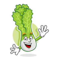 240x240 Search Photos Lettuce Cartoon