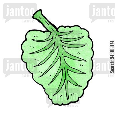 Cartoon Letuce | Free download on ClipArtMag