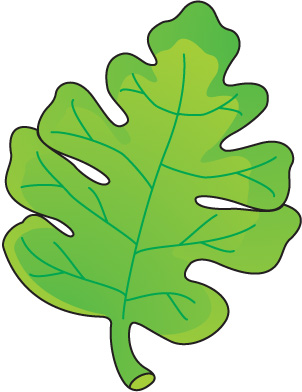 302x392 Clip Art Leaf Lettuce Clipart