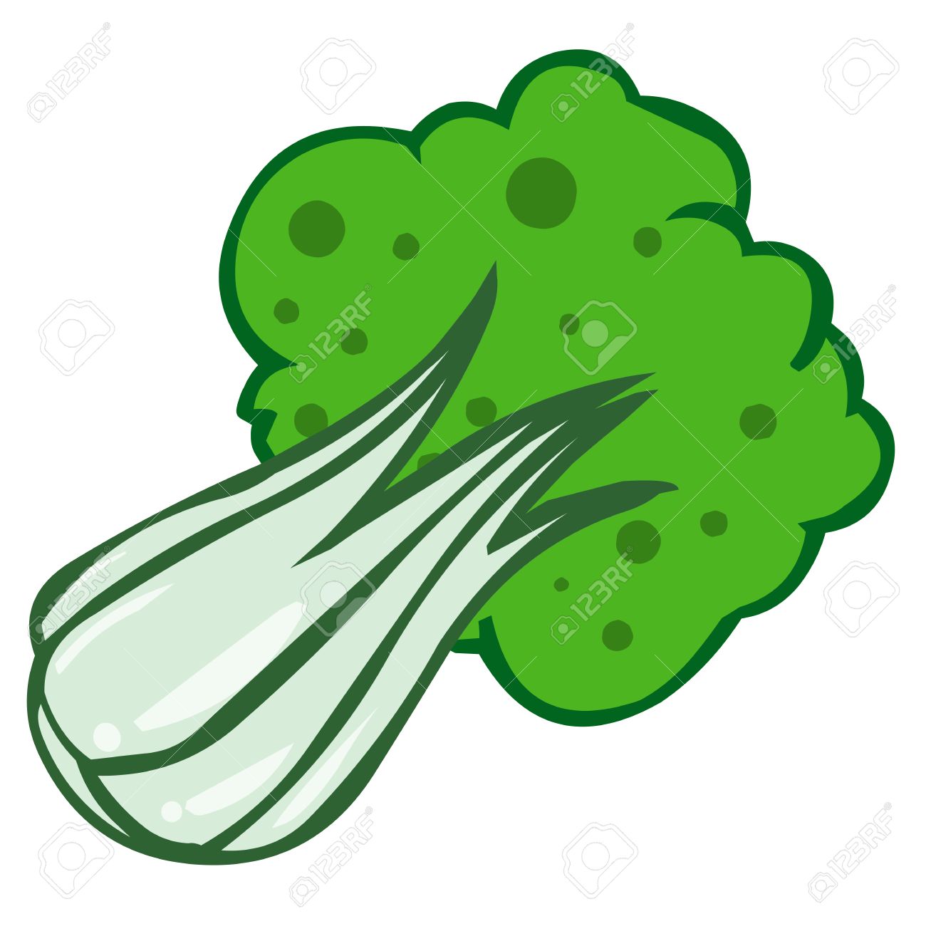 1300x1300 Green Lettuce Cartoon Isolated Illustration On White Background