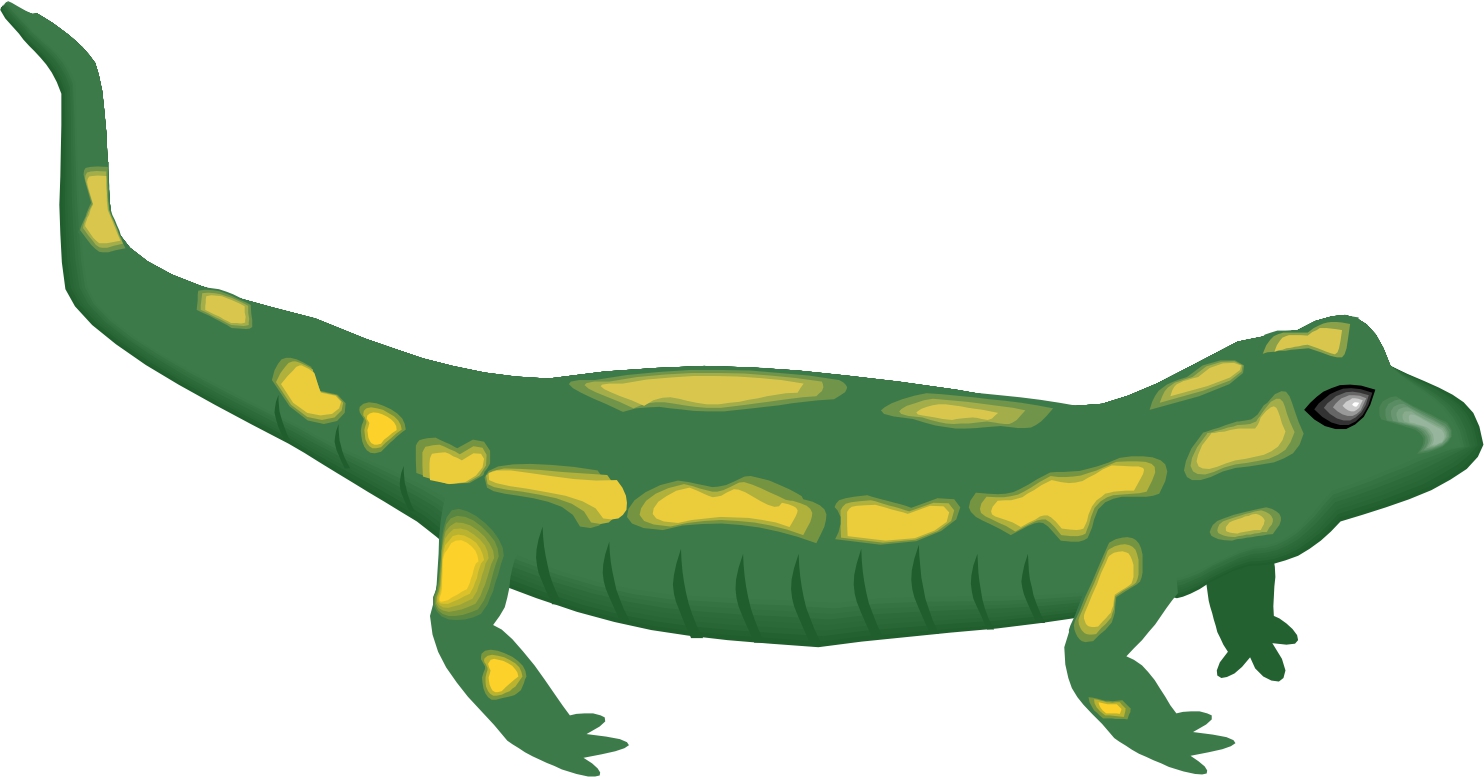 1484x777 Lizard Clipart Cartoon