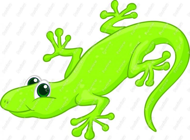 736x545 Lizard Clipart Purple