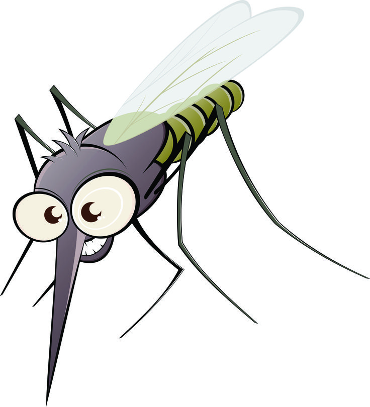Cartoon Mosquito Clipart