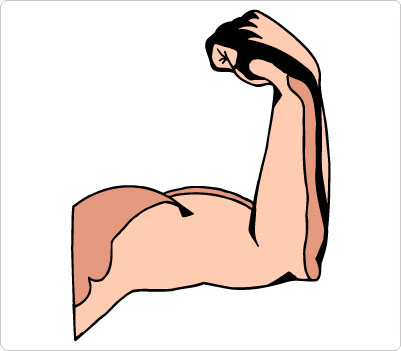 401x351 Muscle Arm Clip Art Clipartfest 2