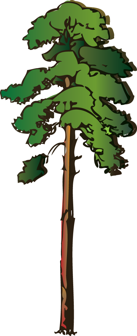 479x1171 Clip Art Oak Tree