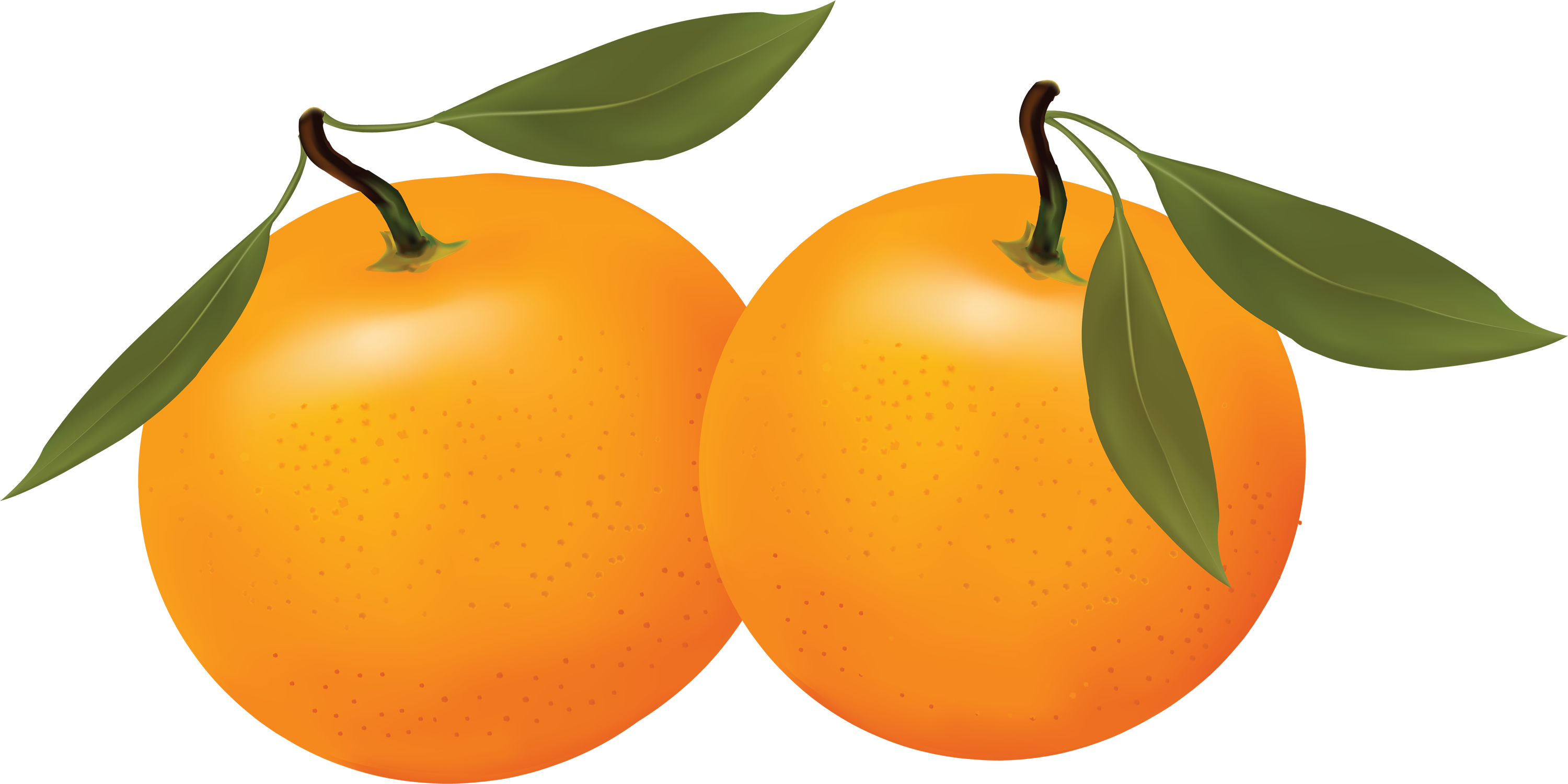 3000x1500 Best Orange Clip Art