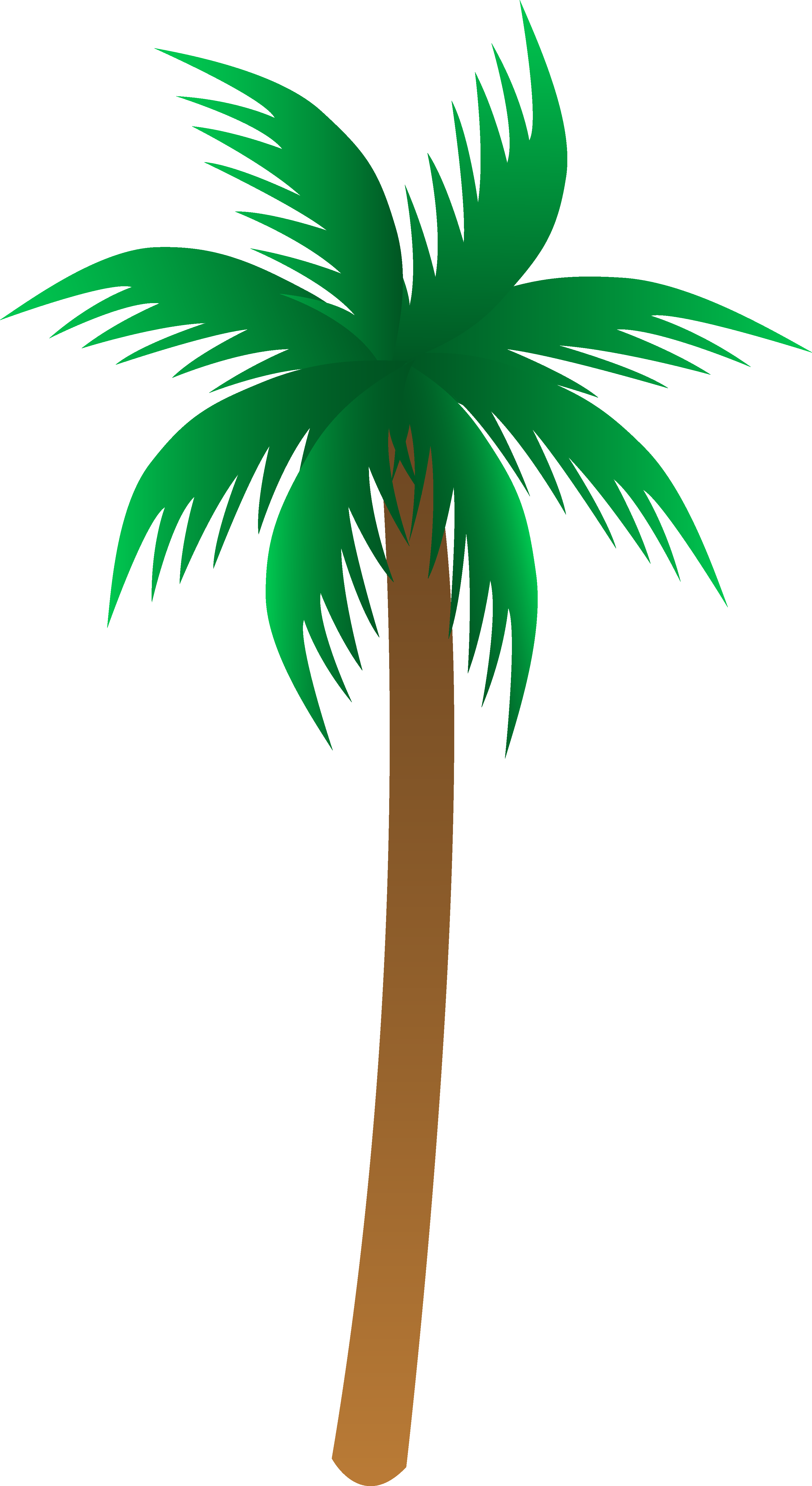 3182x5819 Cartoon Palm Tree Pictures