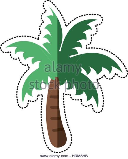434x540 Cartoon Palm Tree Stock Vector Images