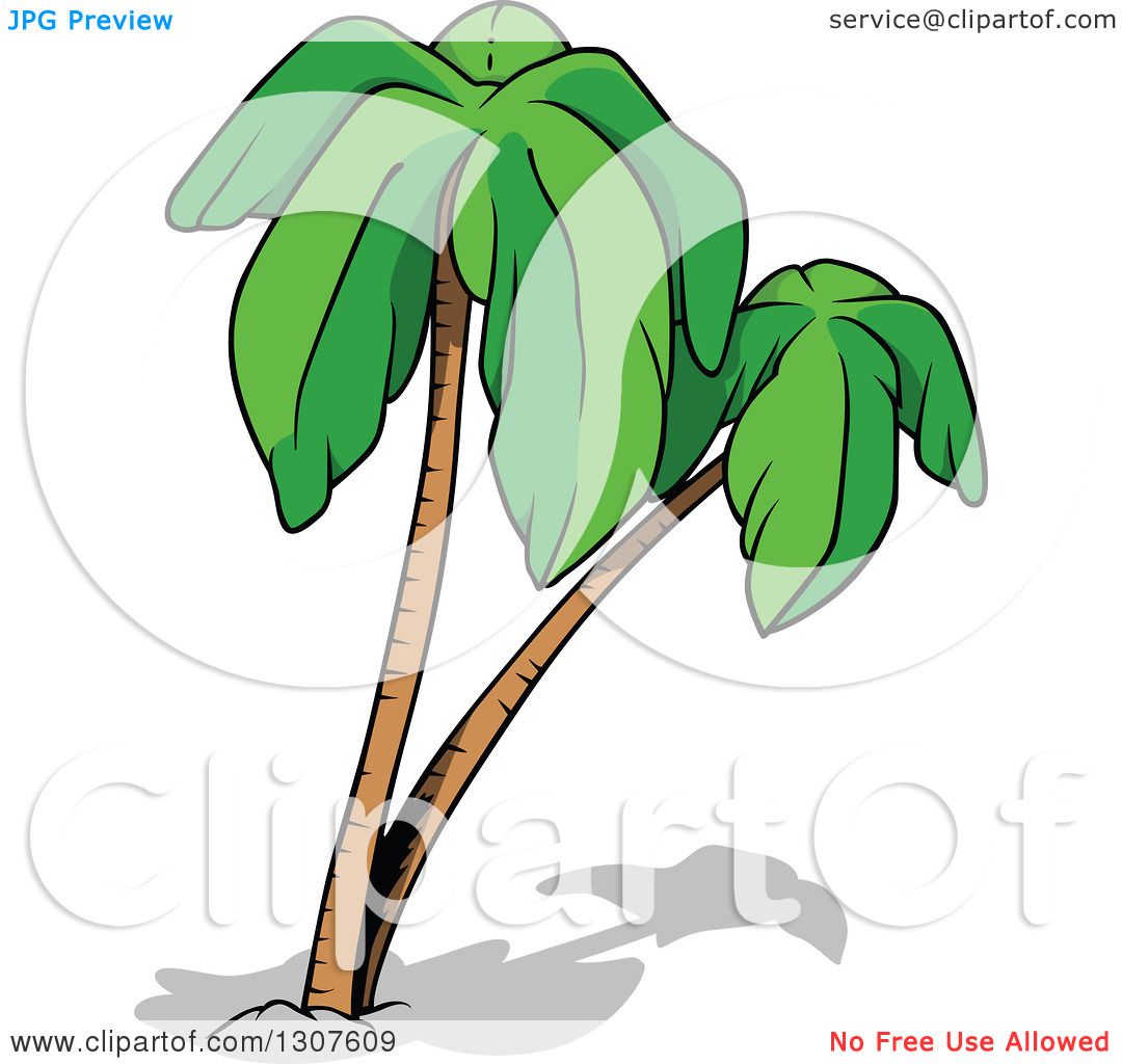 1080x1024 Clipart Of Cartoon Palm Trees And Shadows
