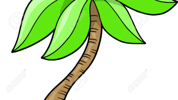 570x320 Palm Tree Cartoon Drawing Palm Tree Clip Art And Cartoons On Palm
