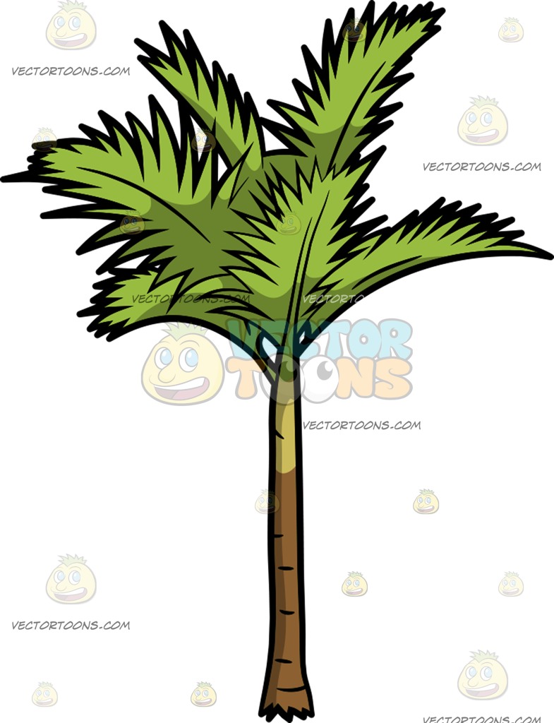 785x1024 A Slim Palm Tree Cartoon Clipart