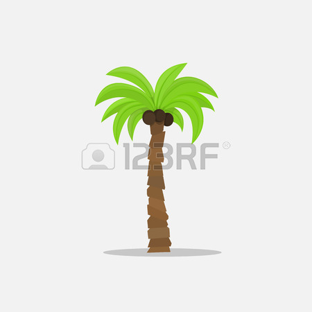 450x450 Palm Trees In Cartoon Style Isolated On White Background Vector