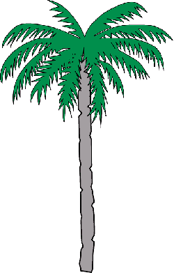 250x392 Brown, Green, Palm, Tree, Cartoon, Free, Trees, Plant
