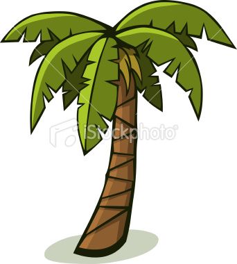 342x380 Trunk Palm Tree Clipart, Explore Pictures