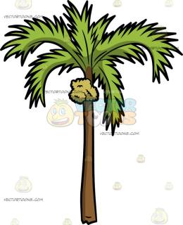 260x320 Palms, Clipart