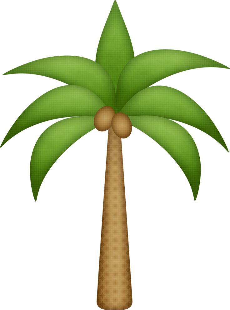 736x991 Best Palm Tree Clip Art Ideas Palm Tree Images