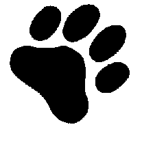 207x208 Free Tiger Paw Clipart