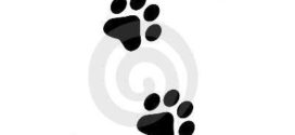 272x125 Best Photos Of Cartoon Paw Print