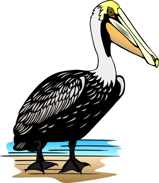 516x595 Pelican Clip Art Free Vector 4vector