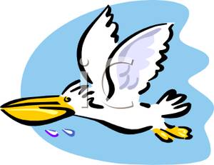 300x231 Pelican Clipart Flying
