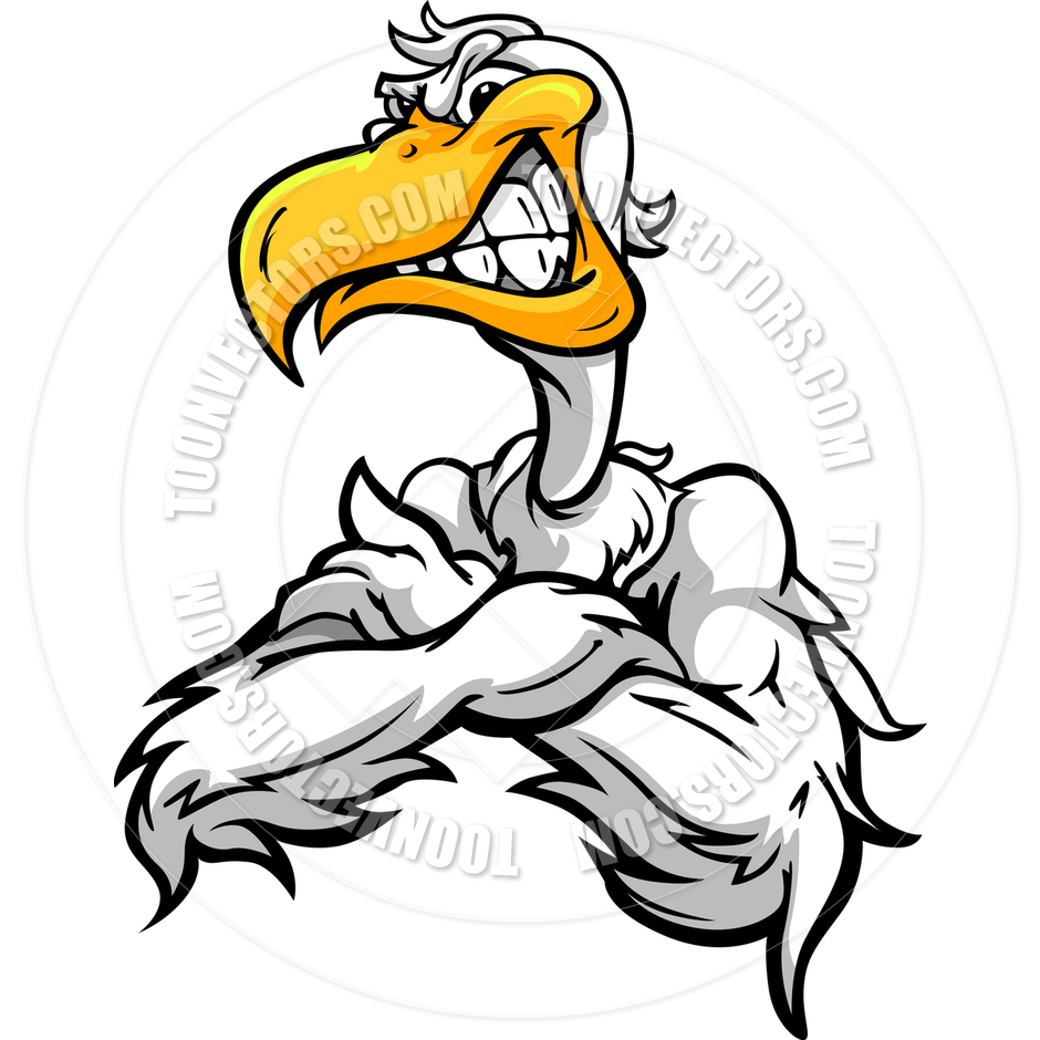 Cartoon Pelican Clipart Free Download On Clipartmag