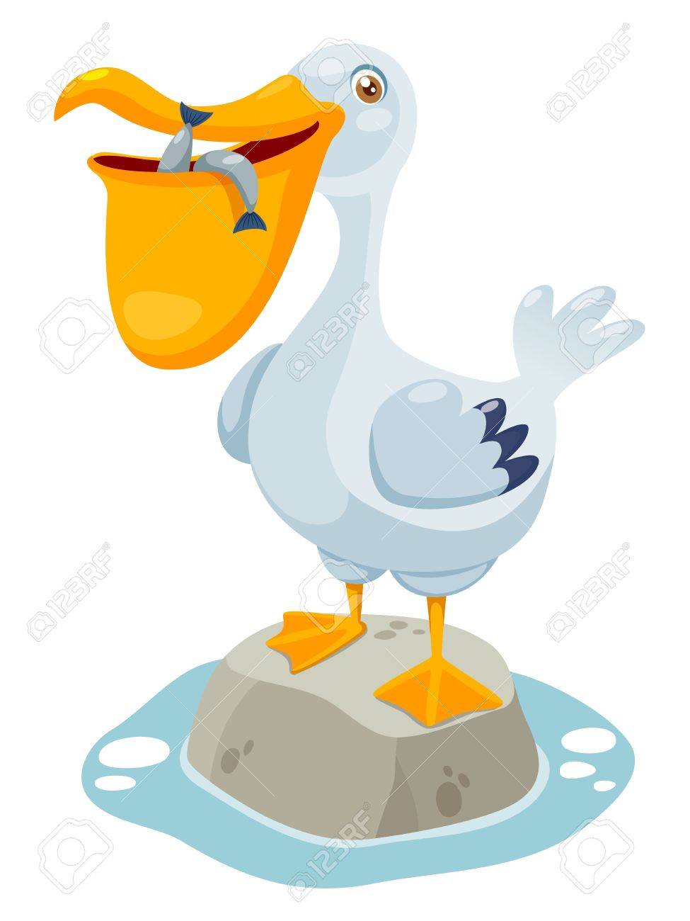 975x1300 Illustration Of Cartoon Pelican Royalty Free Cliparts, Vectors