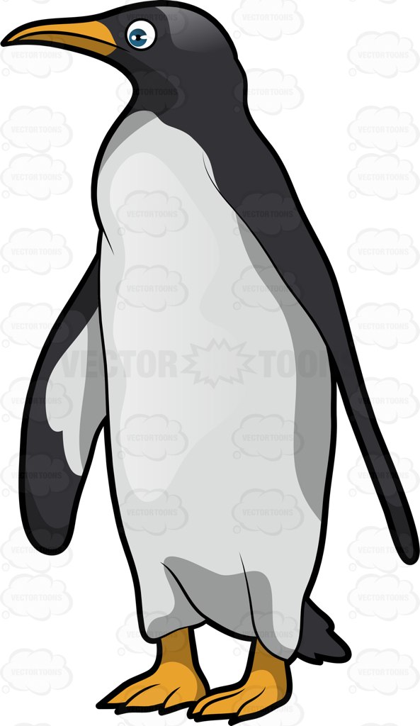 593x1024 A Tall Penguin In Search Of Something Cartoon Clipart