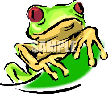 350x305 Green Frog Clipart Red Frog Clipart