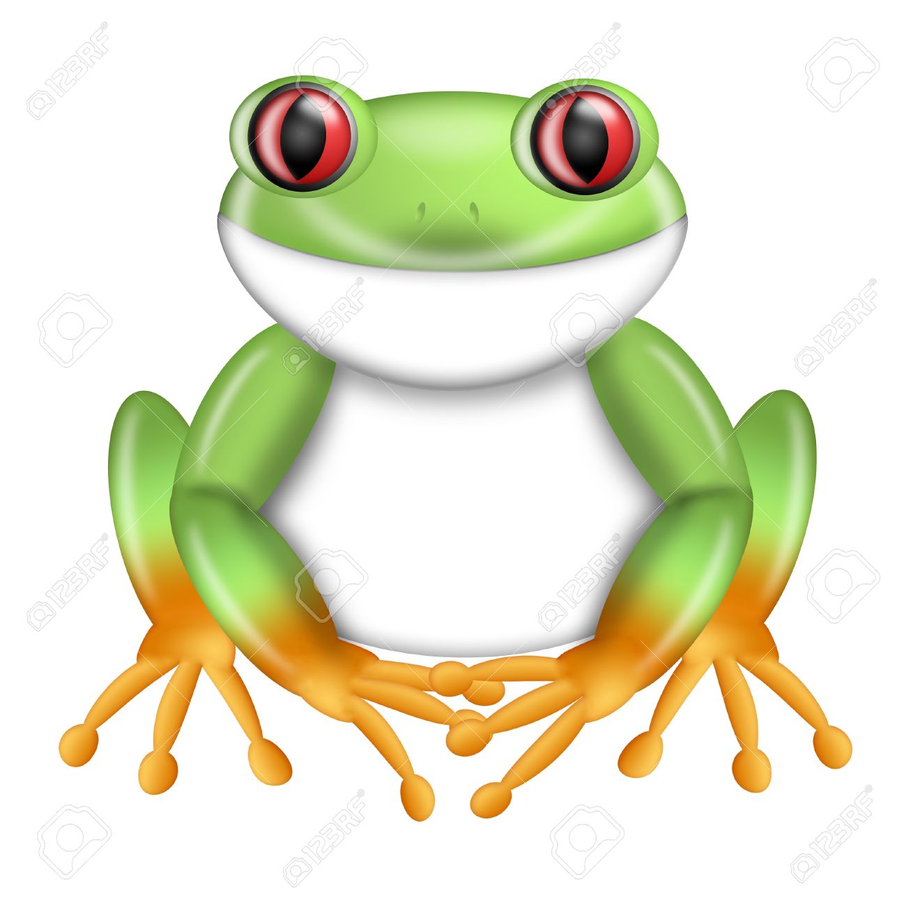 1300x1300 Tree Frog Clipart Amazon Rainforest
