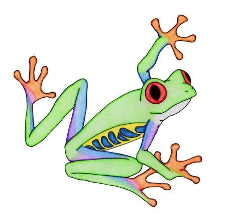 450x443 Australian Tree Frogs Clipart