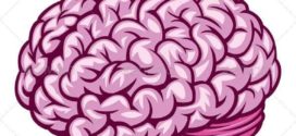 272x125 Brain Clipart Cute Cartoon
