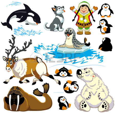 450x450 Set With Cartoon Animals Of Arctic Isolated Pictures For Little