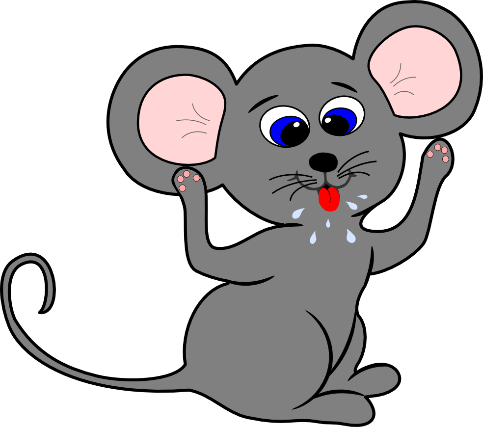 984x870 Rat Clipart Mouse Face