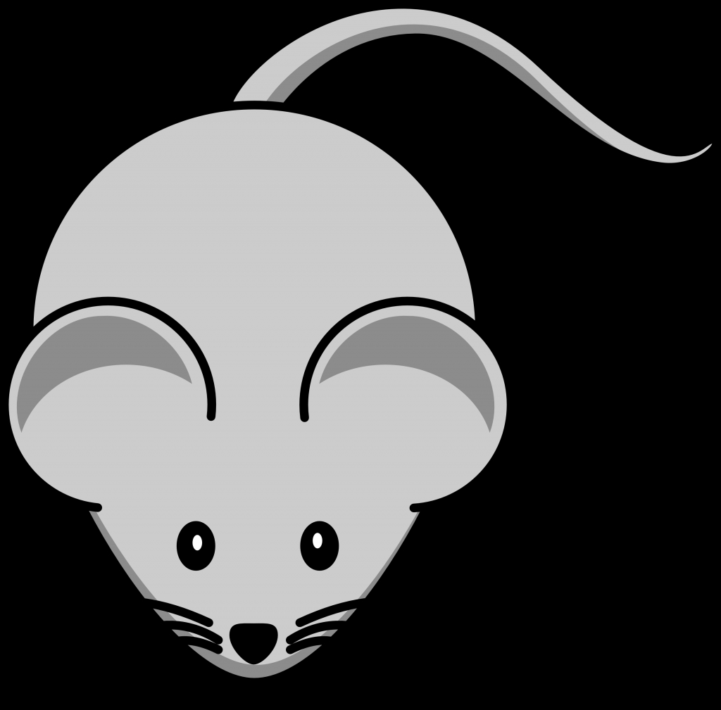 1024x1009 Simple Mouse Drawing Free Cartoon Gray Field Mouse Clipart