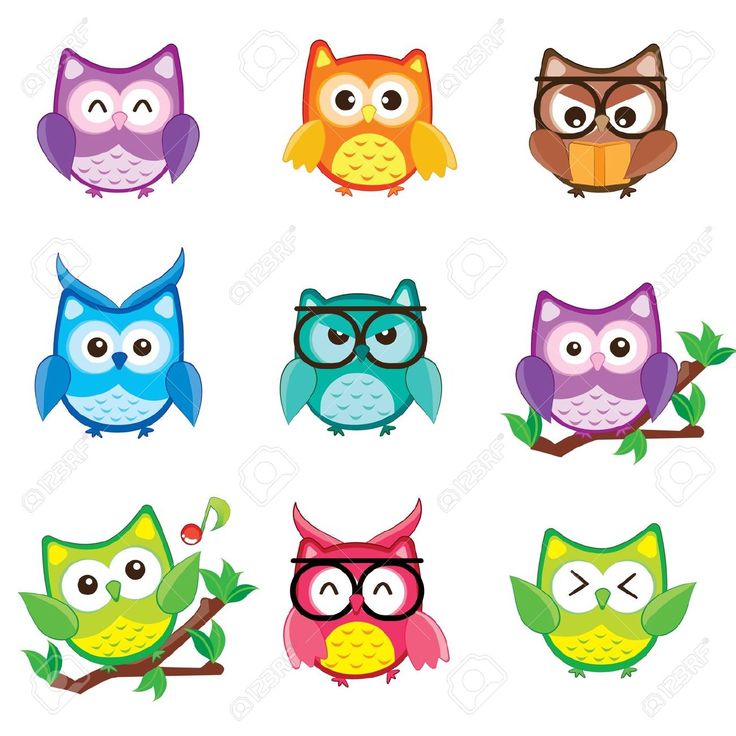 736x736 The Best Cute Owl Cartoon Ideas Owl Cartoon