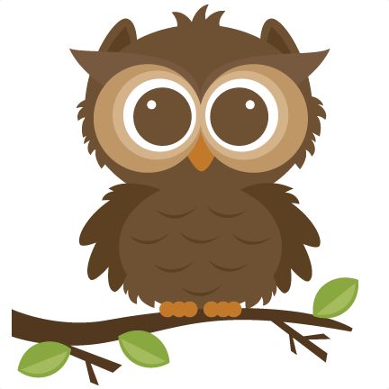 432x432 Owls On Owl Clip Art Owl And Cartoon Owls Id 68412 Clipart Pictures