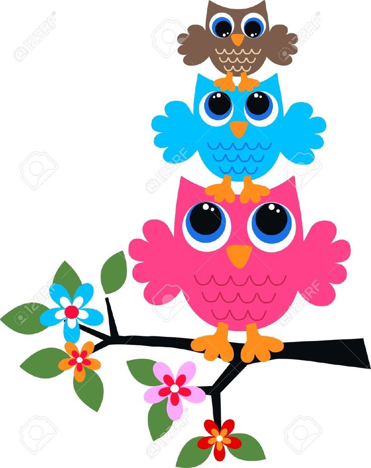 736x928 Best Cartoon Owl Pictures Ideas Large Brownie