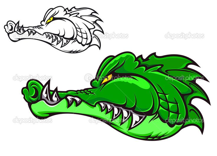 736x529 42 Best Cartoon Alligator Tattoo Images Alligators
