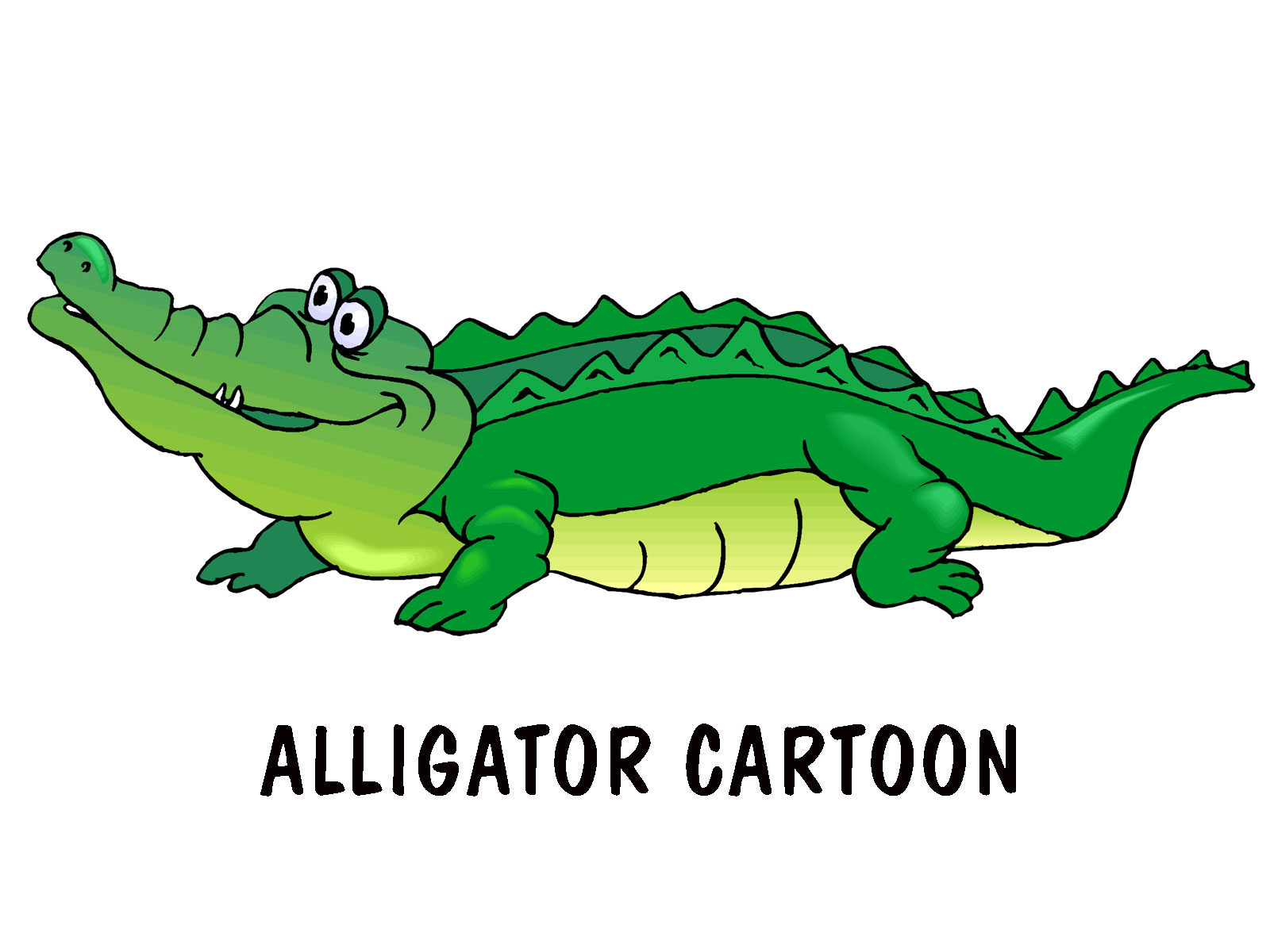 alligator卡通图片