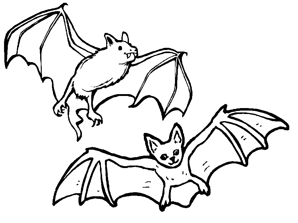 957x718 Cartoon Pictures Of Bats Many Interesting Cliparts