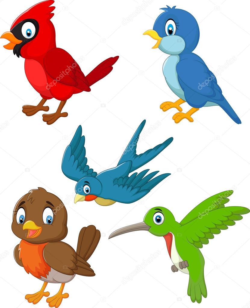 830x1024 Cartoon Birds Collection Set Stock Vector Tigatelu