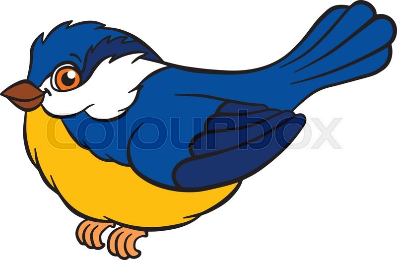 800x524 Cartoon Birds For Kids. Little Cute Titmouse Sits On The Ash Twig