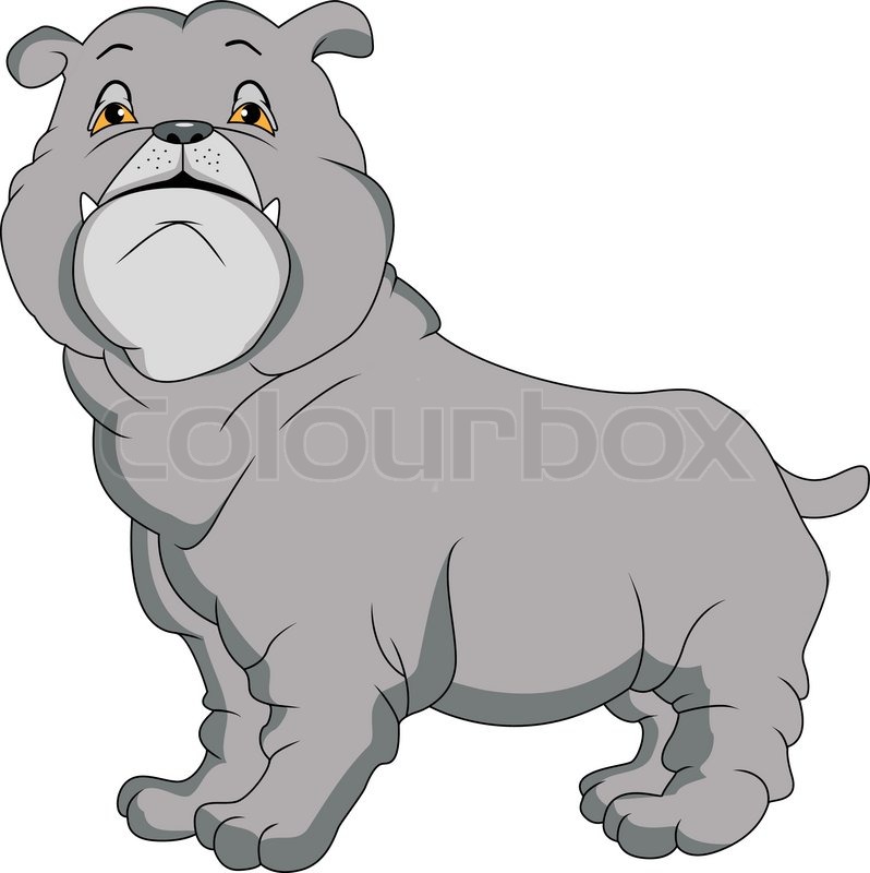 798x800 Vector Illustration Of Bulldog Cartoon Stock Vector Colourbox