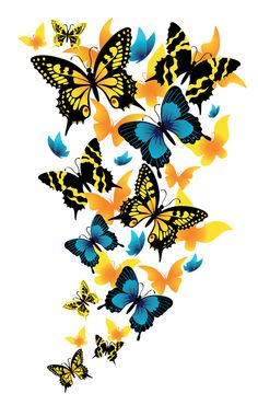 236x370 Images Of Cartoon Butterflies
