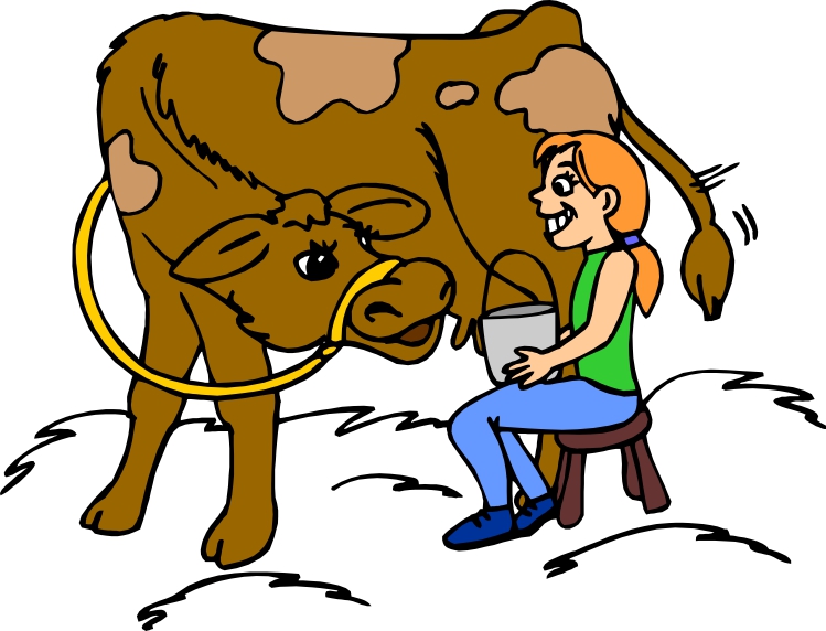 749x572 Image Milking Cows Cartoon A Udder Experience