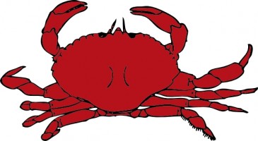 365x200 Crab Clipart Animated