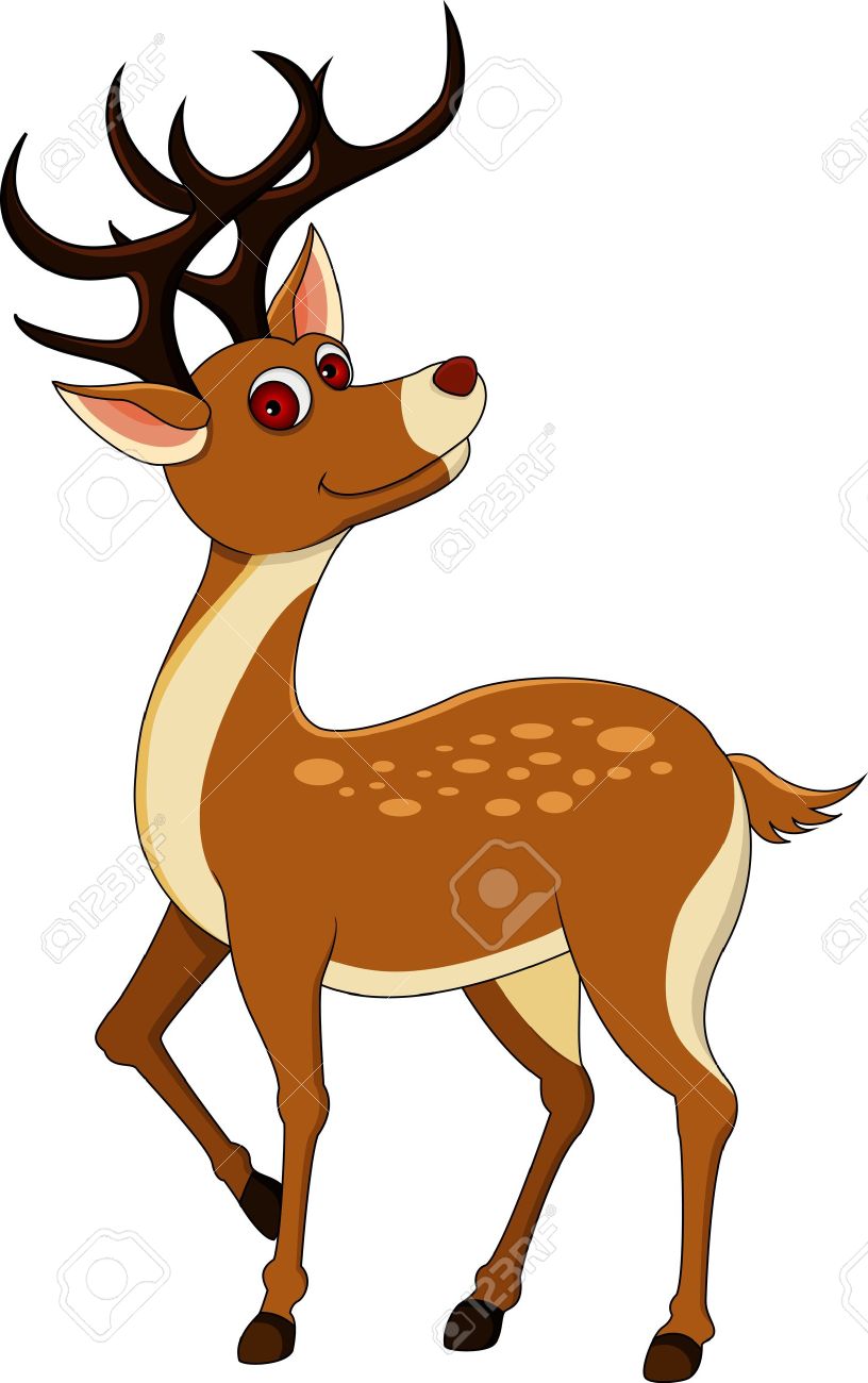 Cartoon Pictures Of Deer