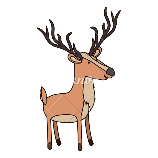 550x550 Deer Cartoon With Long Horns
