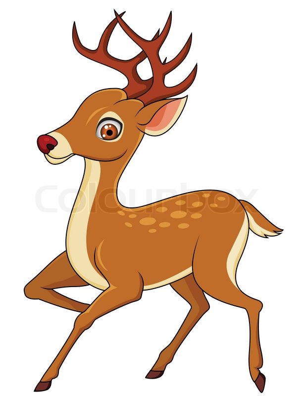 606x800 Deer Cartoon Isolated Stock Vector Colourbox