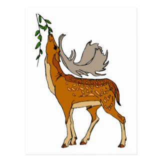 324x324 Cartoon Deer Postcards Zazzle